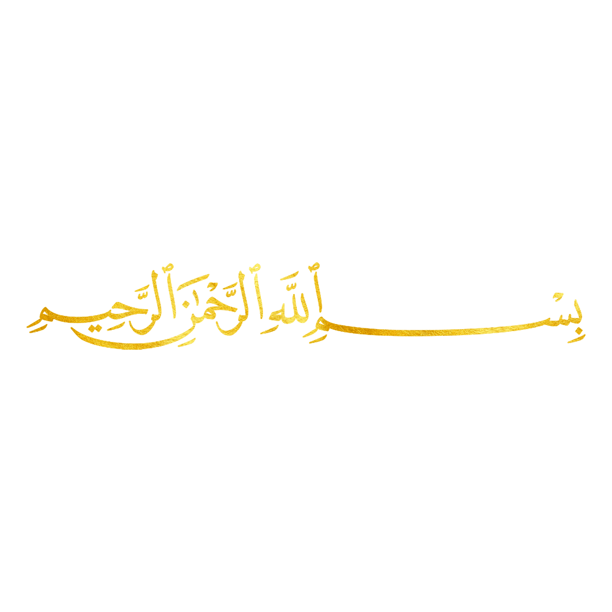 بسم الله الرحمن الرحيم